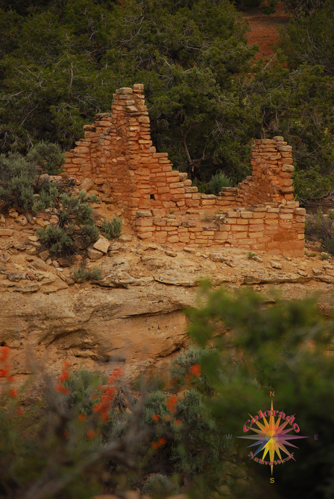 Hovenweep Monument Essay Three, another brick in the wall. Looking at all the Pueblo ruins, appreciation for all the labor to lay-out and building a structure such as these.