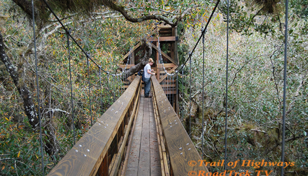 Canopy Walk-Tower-Trail-Myakka-State Park-Florida-Trail of Highways-RoadTrek TV-Organic Content-Marketing-Social SEO-Travel-Media-
