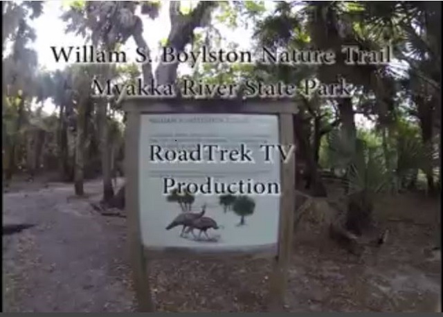 William S. Boylston-Nature Trail-Myakka River State Park-Florida-Trail of Highways-RoadTrek TV-Organic Content-Marketing-Social SEO-Travel-Media-
