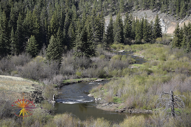 Looking back at the Tarryall River as you big your accent, Ute Creek Trail has a good elevation gain to it as you hike into Lost Creek Wilderness