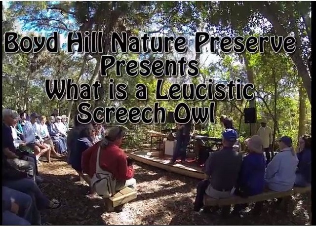 Leucistic-Screech Owl-Boyd Hill Nature Preserve-Florida-Trail of Highways-RoadTrek TV-Organic Content-Marketing-Social SEO-Travel-Media-