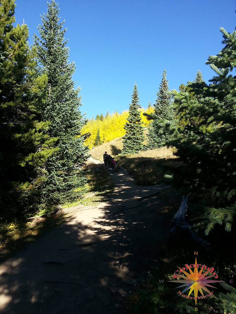 is quick, as you pass through a few small Aspen Groves hiking in Colorado