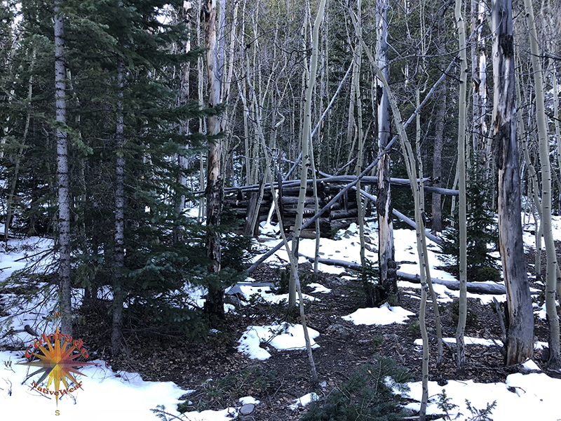 Grizzly Lake Hike Colorado what left of the old out buildings and corral at the Ghost House.
