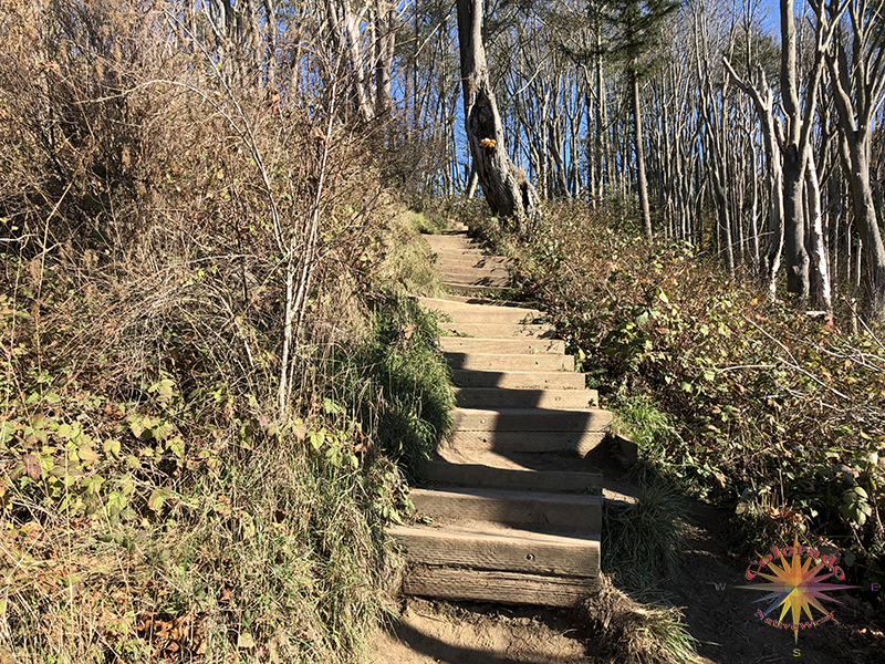 Discovery Park Fort Lawton Seattle incline up to the bluff climbs for another fifty yards and levels out before desending to the beach and Lighthouse