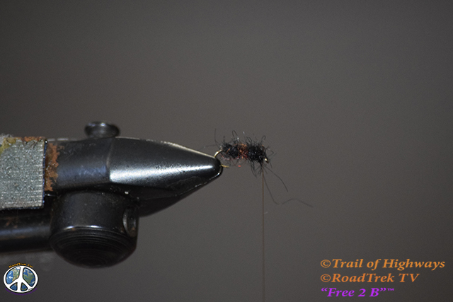 Sparkle Soft Hackle-Ant-Fly Fishing-Tying-Fly-Wet Fly-River-Trail of Highways-RoadTrek TV-Get Lost in America-Content Marketing-Social Media-Branding-Travel-Media-Fishing-Photography-