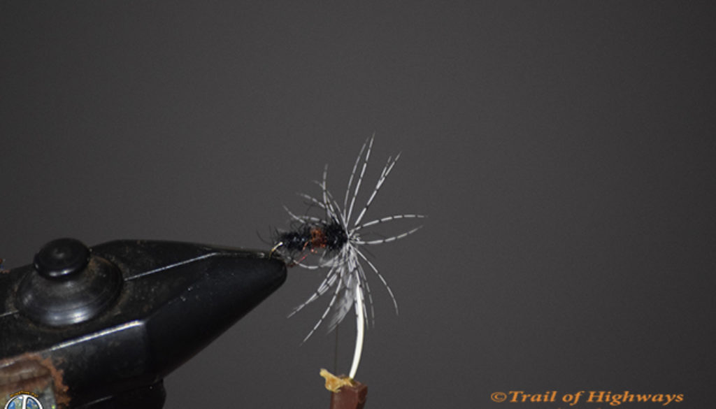 Sparkle Soft Hackle-Ant-Fly Fishing-Tying-Fly-Wet Fly-River-Trail of Highways-RoadTrek TV-Get Lost in America-Content Marketing-Social Media-Branding-Travel-Media-Fishing-Photography-4