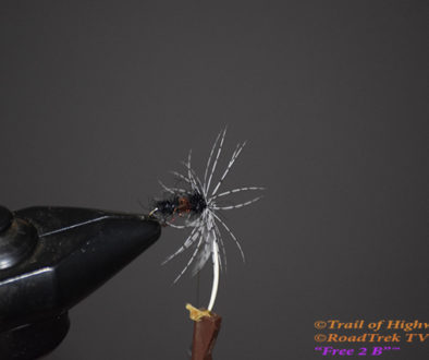 Sparkle Soft Hackle-Ant-Fly Fishing-Tying-Fly-Wet Fly-River-Trail of Highways-RoadTrek TV-Get Lost in America-Content Marketing-Social Media-Branding-Travel-Media-Fishing-Photography-4