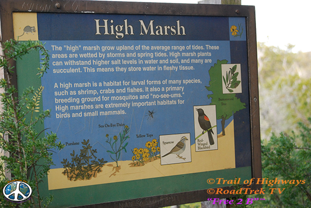 High Marsh