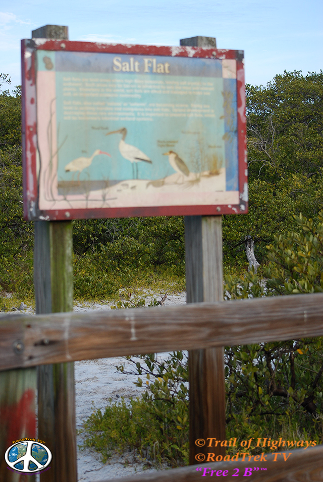 Coastal Ridge Nature Area-Ana Maria Island-Florida-Trail of Highways-RoadTrek TV-Get Lost in America-Organic-Content-Marketing-Social-Media-Branding-Travel-9