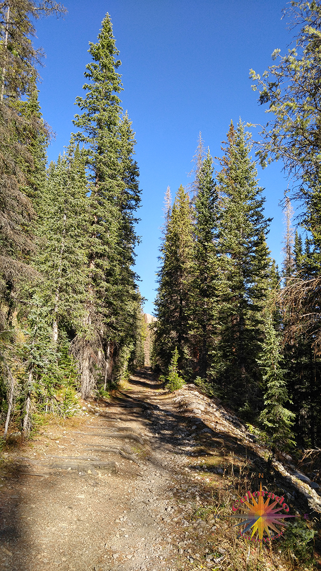 In the beginning the trail was good, with conditions changing San Isabel National Forest Colorado