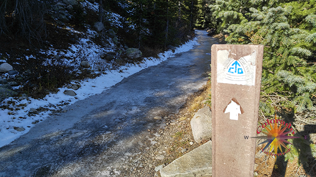 Colorado Trail Marker on Alpine Tunnel Trail 