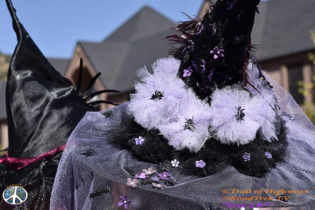 Daisy Hat-Costume-Halloween-Colorado-Manitou Springs-Trail of Highways-RoadTrek TV-Organic Content-Marketing-Social SEO-Travel-Media-