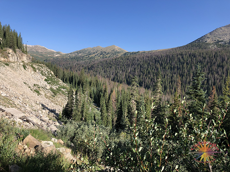 Looking Across Tunnel Gulch in the San Isabel National Forest