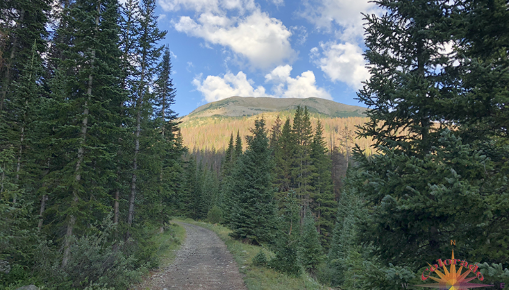 Alpine Tunnel Trail, leading to Tunnel Lake Trail, on the Colorado Trail