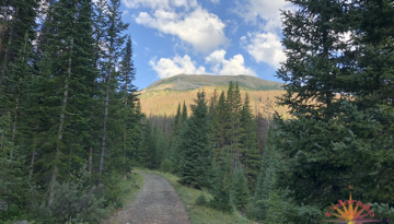 Alpine Tunnel Trail, leading to Tunnel Lake Trail, on the Colorado Trail