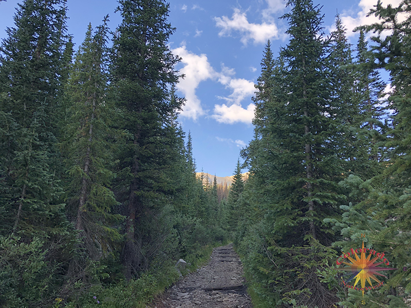 Old Railroad Bed Makes the First Couple of Miles a Very Easy Hike up to Tunnel Lake on the Colorado Trail