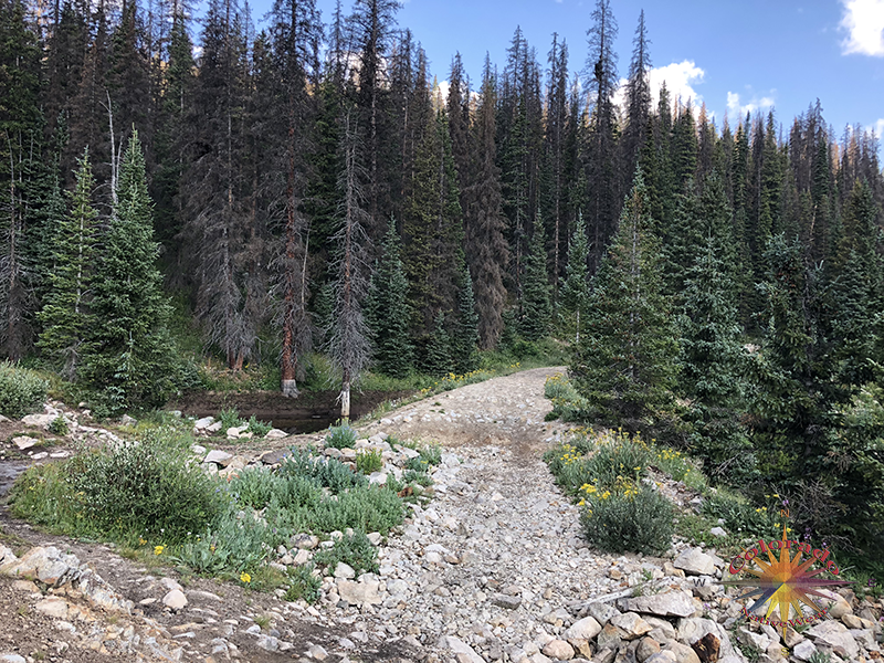 Sawmill Curve is a bit drier than last fall, not much snow this past winter in the San Isabel National Forest in Colorado