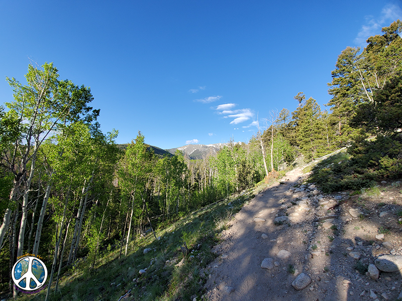 Continue hiking the ridge to the junction of the Colorado Trail intersects for a short distance