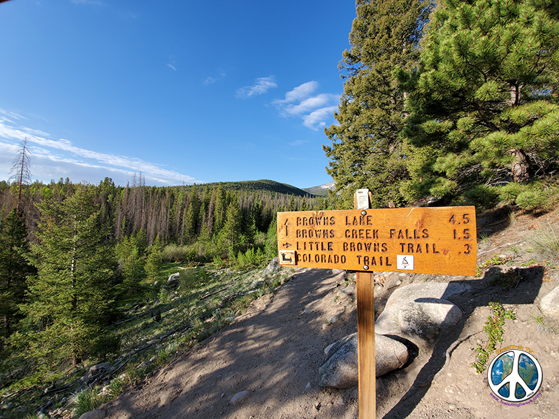 Hike on the Colorado Trail is only around three tenths of a mile before leaving it and heading up to Browns Creek Falls