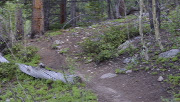 Mount Yale Trail-14er-Colorado-Hiking-Climbing-Trail of Highways-RoadTrek TV-Social SEO-Organic-Content Marketing-Tom Ski-Skibowski-Photography-Travel-2