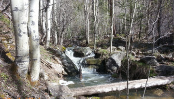 Cow Creek Trail, Bridal Veil Falls,