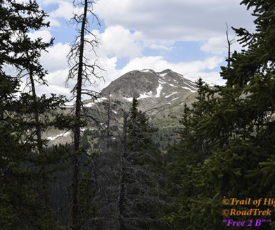 Mount Yale Trail, Collegiate Peaks wilderness,