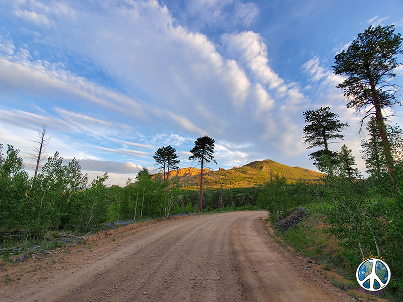 Forest Service Road 211 in Pike National Forest offers many destinations