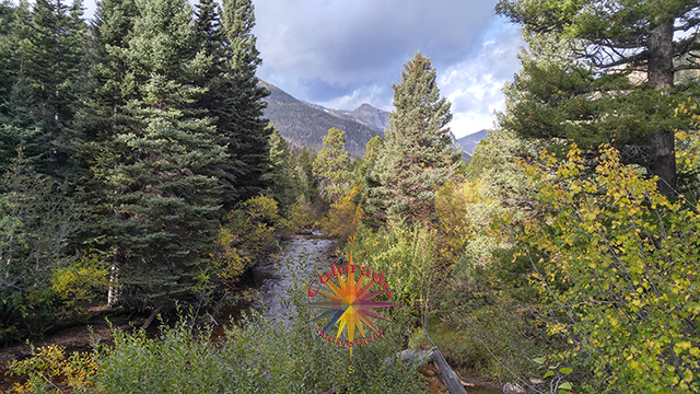 Hike to Fern Lake, Rocky Mountain National Park, Episode One, Thompson River Canyon, to Fern Falls then on to Fern Lake, great Fly fishing all the way Wildflowers and birding