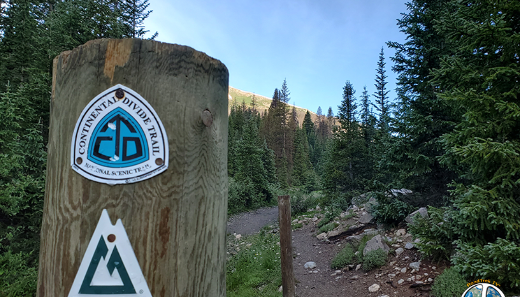 Continental Divide Trail is a Tree with Many Branches, when you look closely, the Continental Divide Trail is much like a family tree. You know…