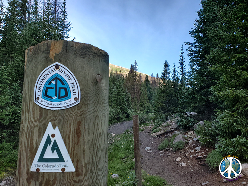 Continental Divide Trail is a Tree with Many Branches, when you look closely, the Continental Divide Trail is much like a family tree. You know…