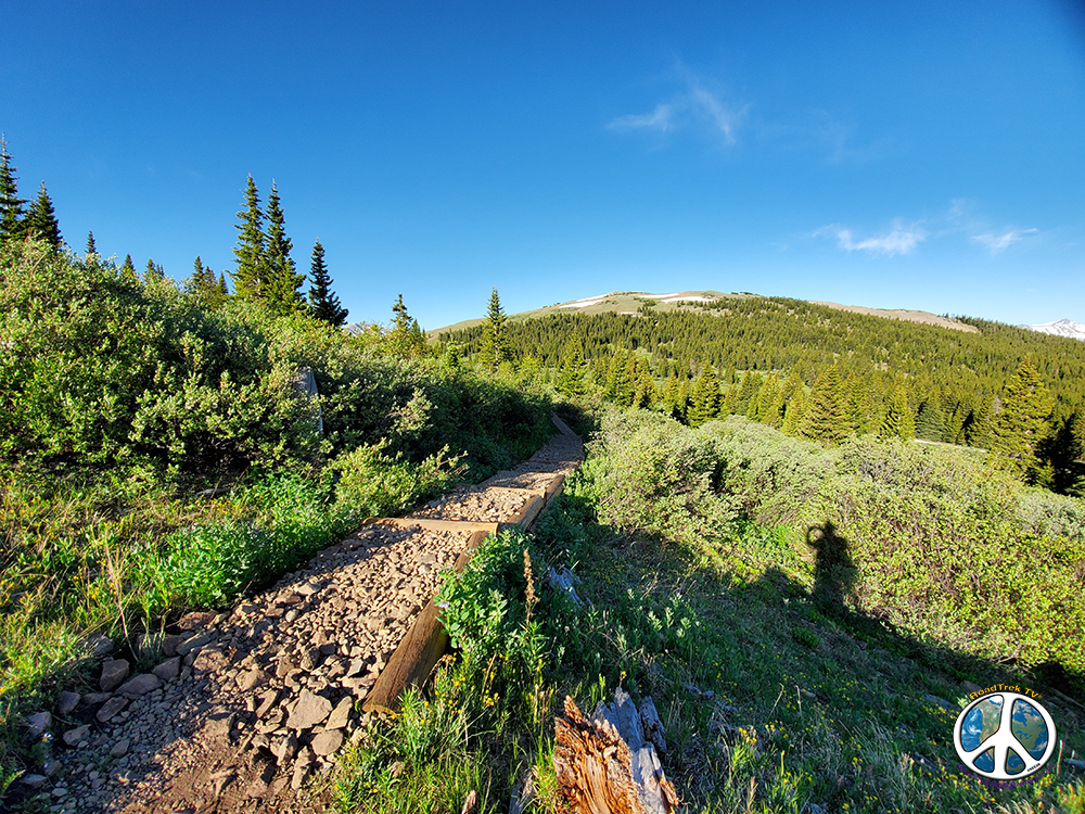 Black Powder Pass trail weaves in and out of patches of forest before reaching Alpine