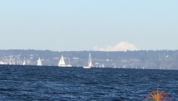 Discovery Park Fort Lawton across the bay a regetta of sailboats out enjoying a beautiful day in Puget Sound