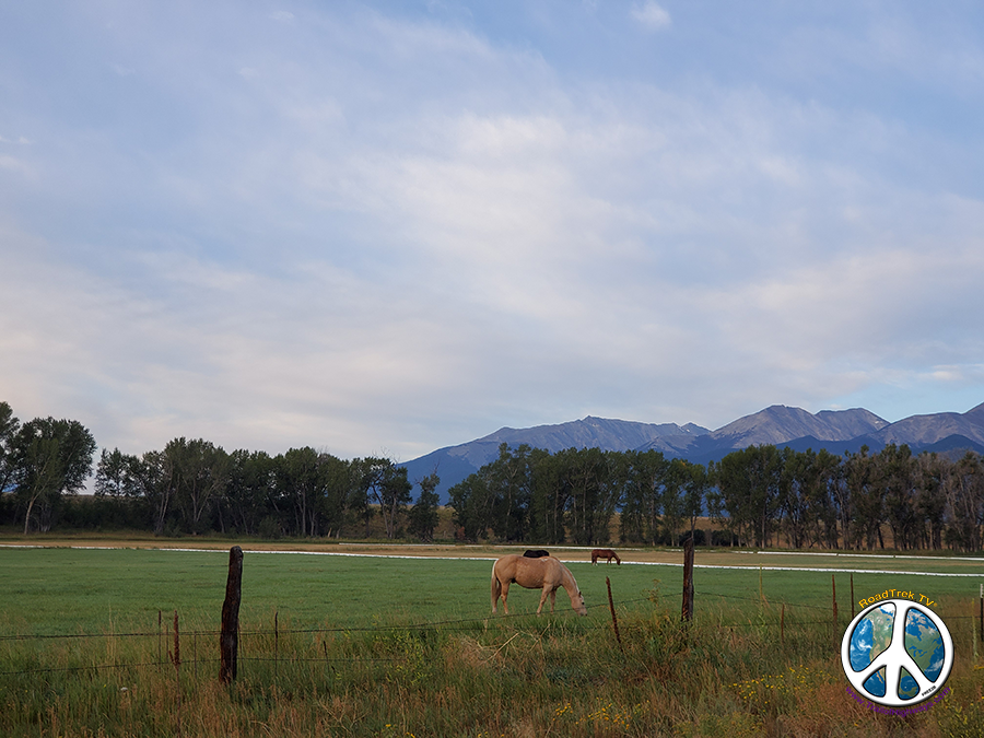 Horses grazing below the continental divide on a summer morning
