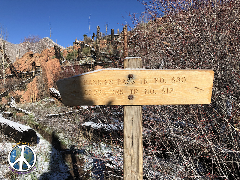 Once cross foot bridge go left to Hankins Pass or continue right on Goose Creek Trail toward Harmonica Arch or beyond in the Lost Creek Wilderness complex 