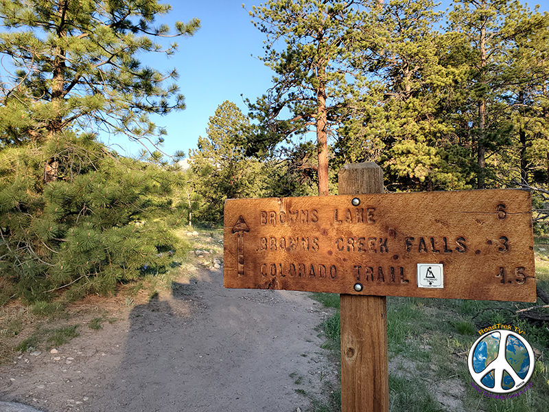 As we begin hiking up the trail from the trail head on a beautiful morning in mid June