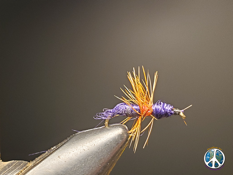 Purple Ant Fly Tying Fly Tying a Purple Ant May Lead to Mountain Lake Trout Adventures Most think of ant being, brown, black, red, you get the idea. Purple adds a whole new flavor to the recipe book of fly tying.  I have always like to tie up patterns that add a different hue of color to the trout’s diet.  Beside being the odd fly out seems to attract more fish to it.