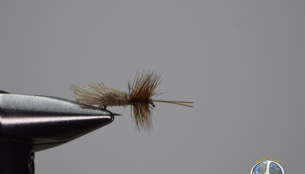 Fly Fishing Necessity: Caddis Flies Caddis flies are one of the most important and necessary aquatic insects in the country