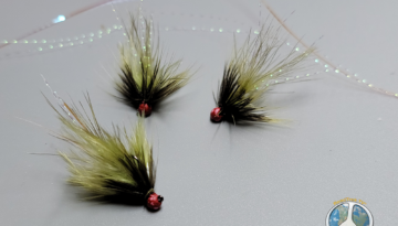 Olive Micro Wooly Bugger Personally I have found trout really enjoy a Micro Wooly Bugger tied on a jig hook with a red bead.