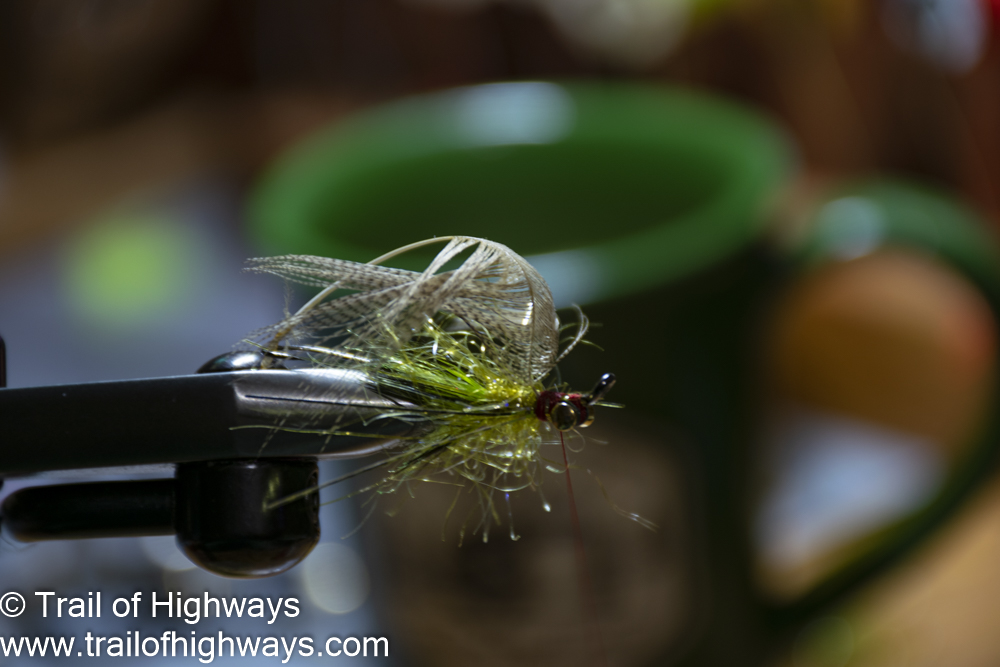 Tying and Swinging Trout Intruders Tie in Mallard Flank dyed Lemon Wood duck by the tip and palmer 3 wraps forward. 
