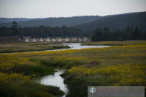 Teepees along the Madison River in Yellowstone National Park, Wyoming