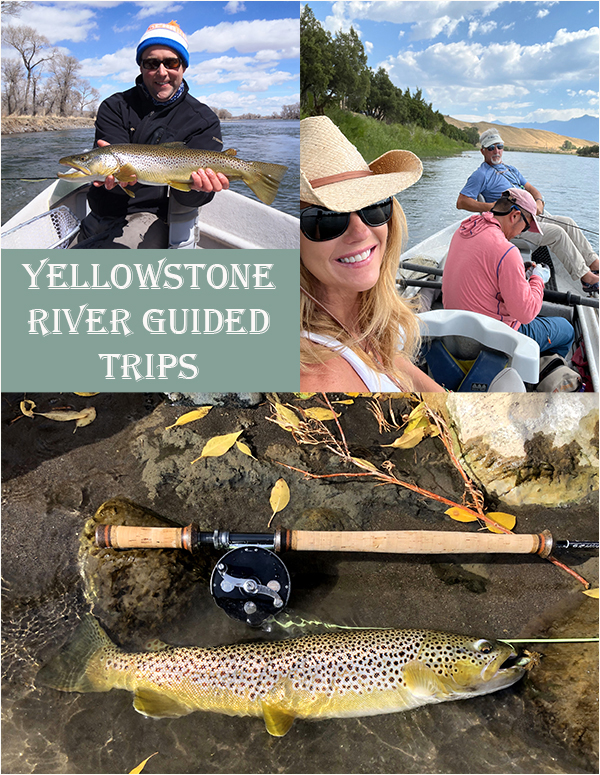 Guided fly fishing trip on the Yellowstone River